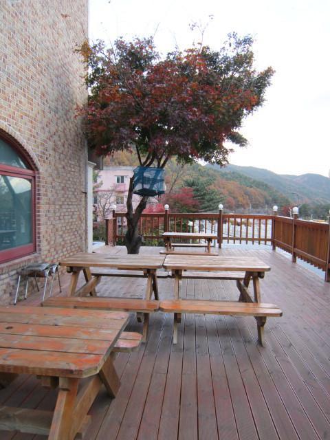 松沃公园酒店 束草市 外观 照片