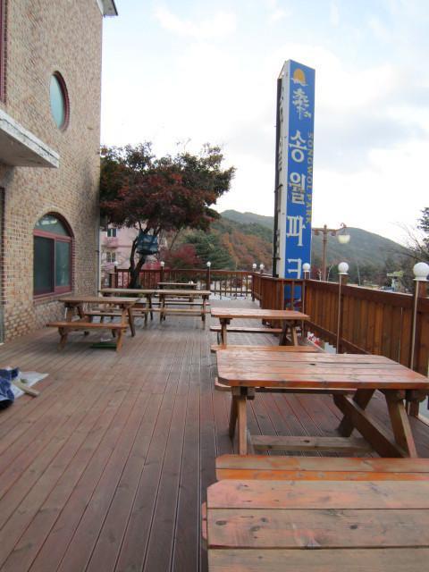 松沃公园酒店 束草市 外观 照片