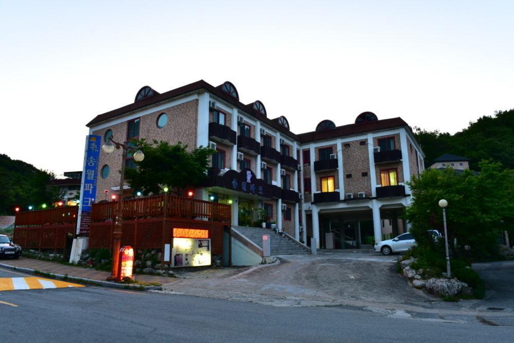 松沃公园酒店 束草市 外观 照片